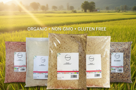 Organic Grocery Stores